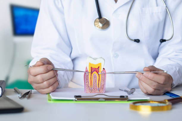 Best Dentist for Tooth Abscess  in , MN